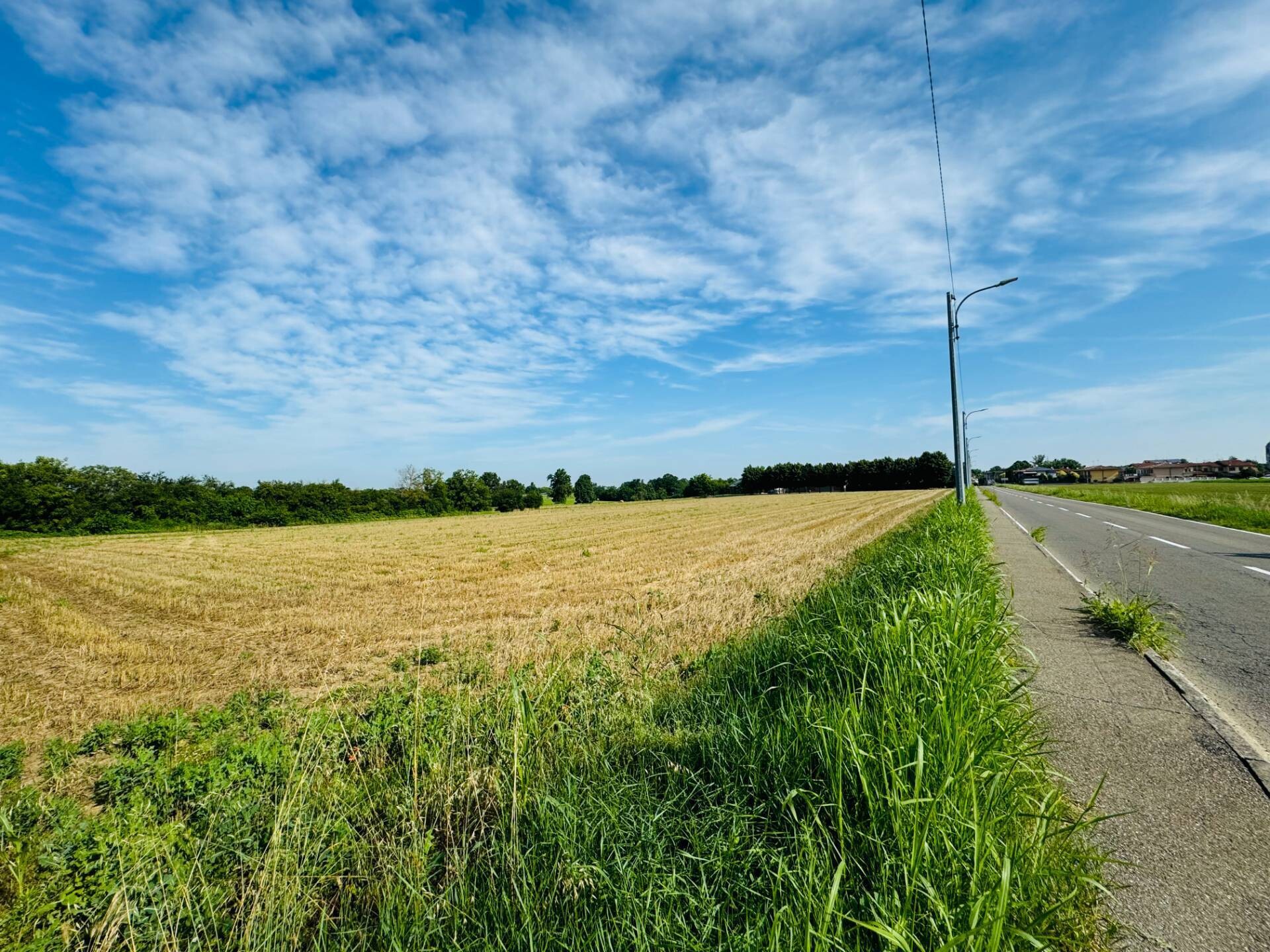 Vendita Terreno  Castel San Giovanni 40.000 mq– rif. ter-d-940