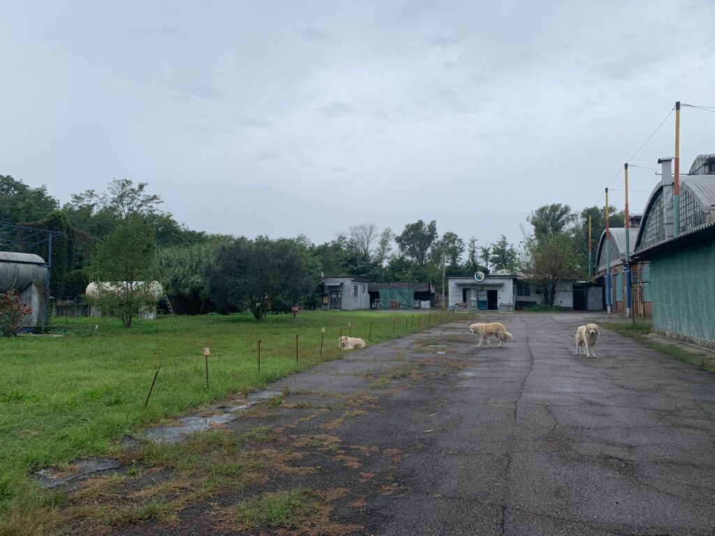 ade6511a-2e16-41de-97fc-7d1c5ac7d8d7