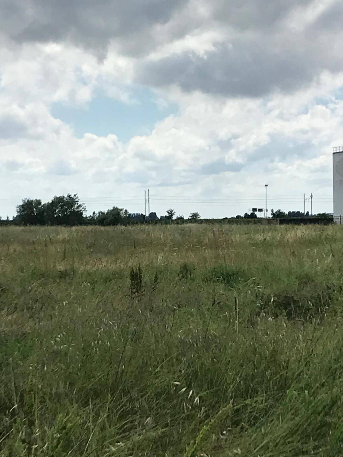 Vendita Terreno Boara Pisani 80.000 mq– rif. TER-D-936
