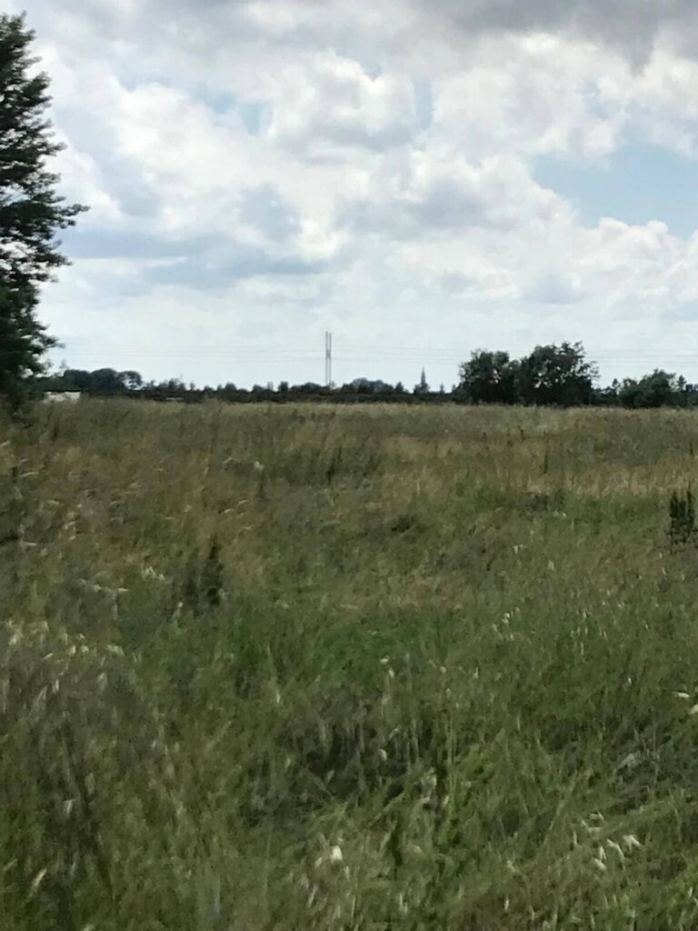 Land for sale in Solferino of 42.000 sq m